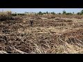 Over 600 acres of Kakira sugar cane plantation burnt to ashes, factory loses over Shs 3bn