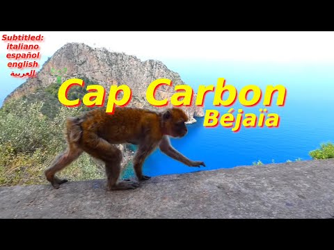 Cap Carbon: The Highest Natural Lighthouse in the World - Béjaia - Algeria