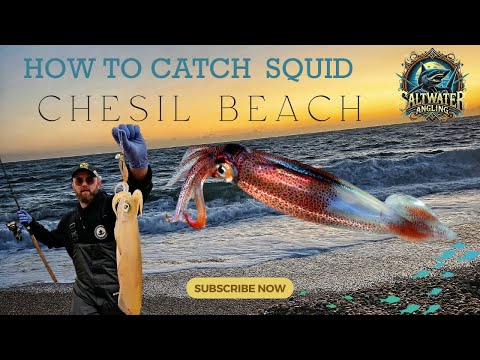 How to catch SQUID on Chesil beach #squid #chesilbeach