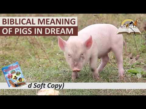 Biblical Meaning of PIG in Dream - Spiritual Meaning of Pig