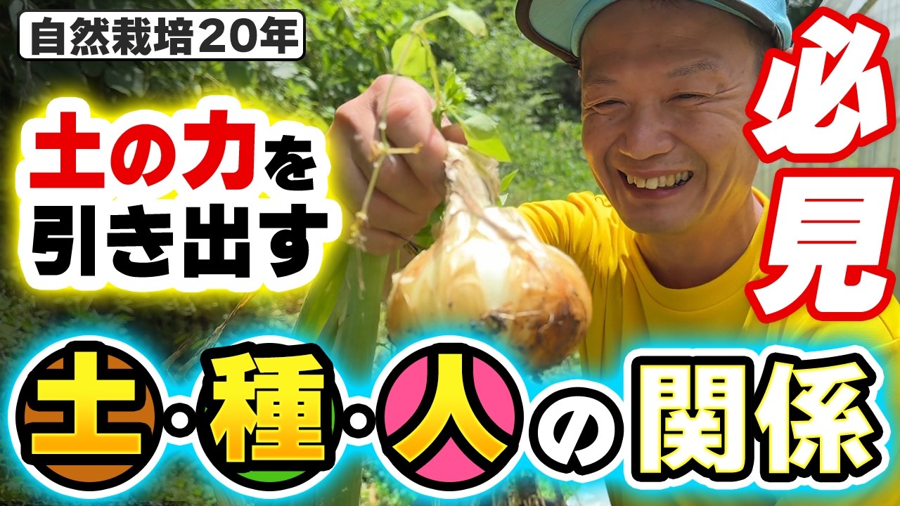 自然栽培を支える土・種・人の想い