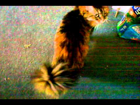 Booty's welcome home