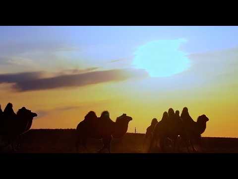 Компанийн танилцуулга бичлэг