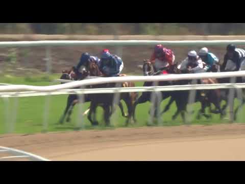2018.08.05 Swedish Open Mile (SWE) - Victor Kalejs