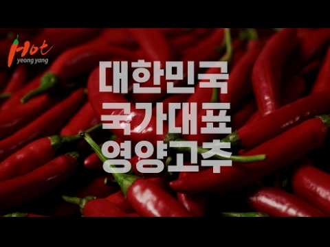 상상 그 이상의 맛