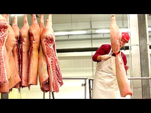How Sausage is ACTUALLY Made // Inside a Meat Factory
