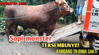 Download lagu Sapi monster tersembunyi di kota blitar mp3 Download lagu Sapi monster tersembunyi di kota blitar mp3