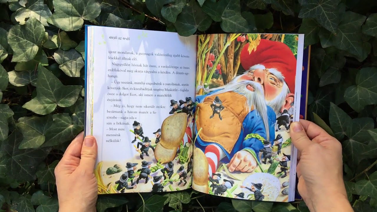 Tony Wolf: Mesél az erdő a manókról