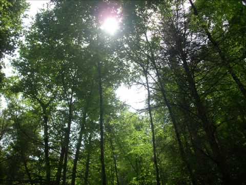 Jimmy Riley--------------- Love Unlimited