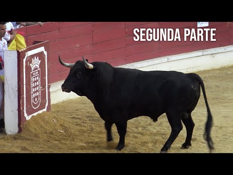 Medina del Campo premia con 6000€ al MEJOR CORTADOR Semifinal y Final del Campeonato 2021