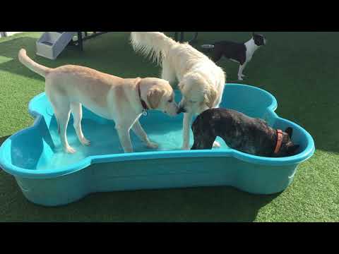 September 24th, 2019