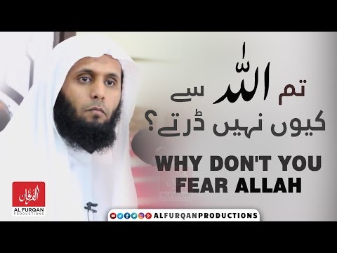 Why Dont You Fear