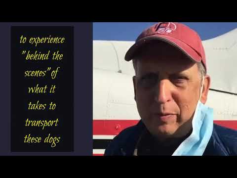 Barkhouse Mamas & Puppies Flight 10-12-20