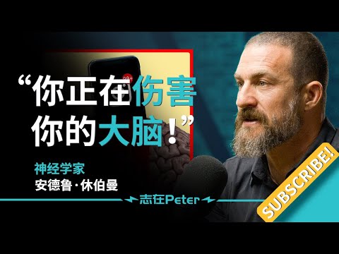 過度使用手機會對大腦造成怎樣的影響？--神經學家 安德魯-休伯曼 Andrew Huberman (过度使用手机会对大脑造成怎样的影响？——神经学家 安德鲁·休伯曼 Andrew Huberman)