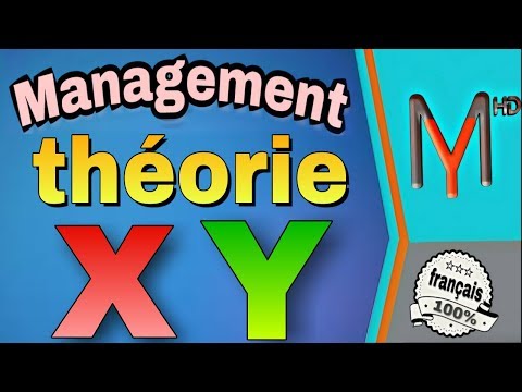 Management (EP 15): la théorie X & Y