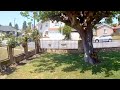 Video: 10-year-old cat fends off coyote in Pico Rivera