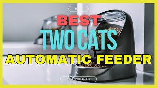 🔥 Best Automatic Cat Feeder for Two Cats in 2026 (UPDATED) ☑