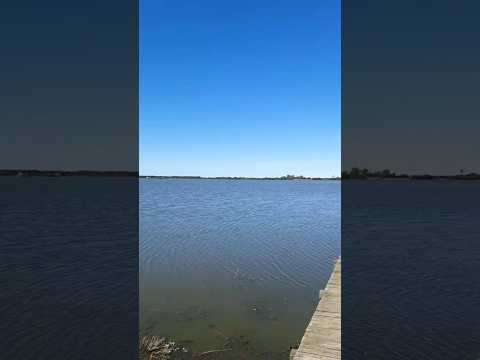 laguna LA LARGA, Gral Madariaga, Buenos Aires #shorts