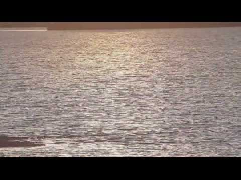 The Sunset of the Cranes.wmv