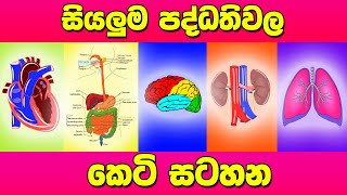 O/L Science Sinhala | Grade 11 Science Unit 6 | Body Systems Short Notes