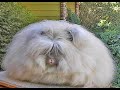 Why does humidity cause a bad hair day?