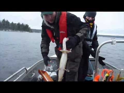 King of Mälaren, 20:e november 2010 - By Team Hajmat