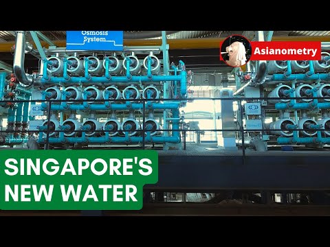 How Singapore Got People to Drink Its New Water