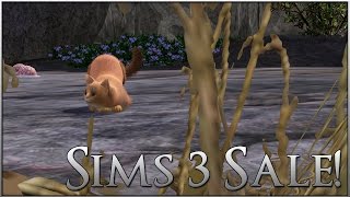 Want Your Own Warrior Cats? Sims 3 + Pets is On Sale!