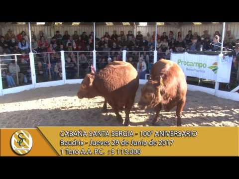 TOROS PUROS CONTROLADOS