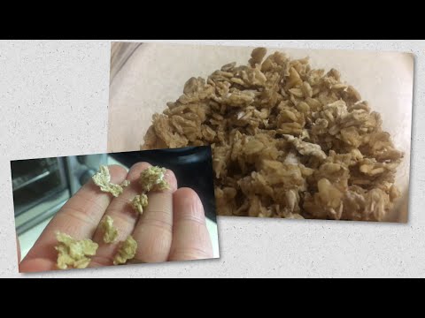 download lagu mp3 mp4 Soaked Granola, download lagu Soaked Granola gratis, unduh video klip Soaked Granola