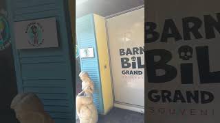 A little shopping in George Town, Cayman Islands #carnivalhorizon #cruise #explore