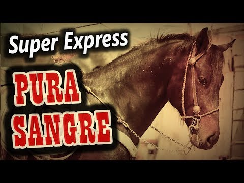 Popurri PURA SANGRE - Super Express