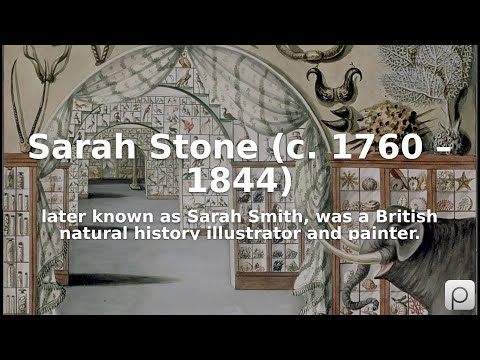 Sarah Stone (c. 1760 – 1844). Encontre imagens de domínio público de Sarah Stone (c. 1760 – 1844) em https:...