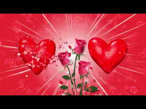 Afaaizu Luheta-Yaa Bwana Harusi na Bibi Harusi(Wedding Nasheed)