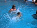 STUPID SWIMMING