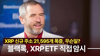 블랙록, XRP 현물 ETF 출시 직접 암시