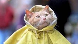 Under The Weather- KT Tunstall