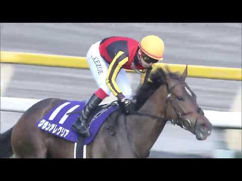 2020 Yasuda Kinen (G1)