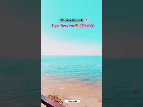 Chuka Beach Pilibhit #beautiful #loctriton #todayshorts #blogger #likeandsubscribe #duet #niceday