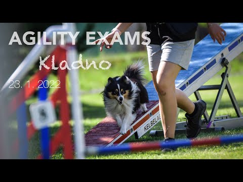 Agility trojzkoušky - Kladno| 23.1. 2022