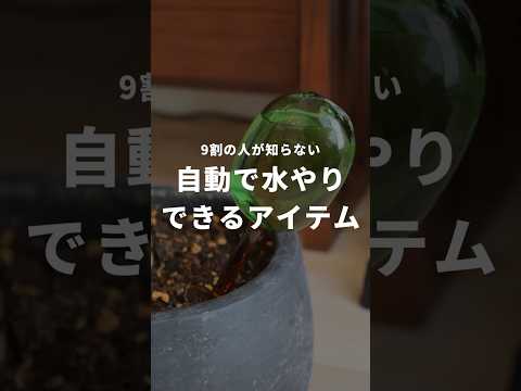 2022年に雑草を取り除く