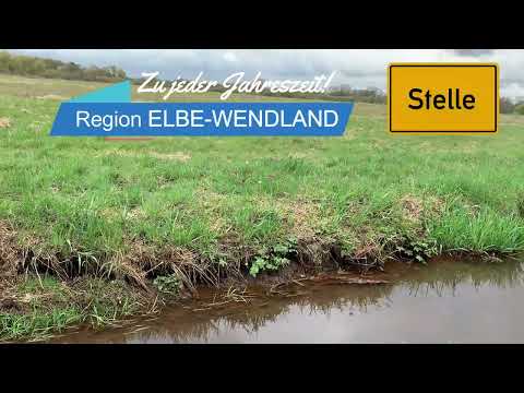 IGW online - Gemeinde Stelle