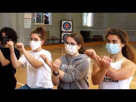 THE SWEDISH PICTURE - Lesson 1-