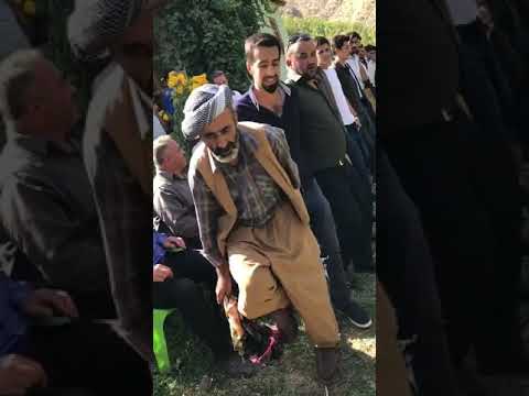 Kurdish Dance - Halay || (NATTI - Himachali Songs 2019) #Halay #Natti #turkish #himachali #kurdish