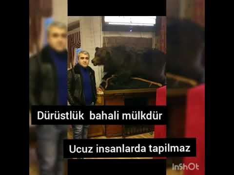 BEHNAM VASMOYSKI ☝️