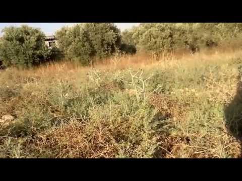 walking in mountains away to home 3