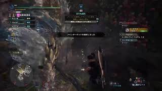 MHWI ゴールデントロフィー周回など！