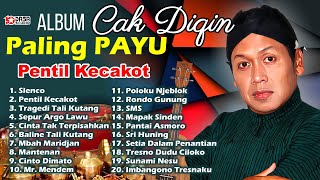 Album Cak Dikin Paling Payu PENTIL KECAKOT TALI KU...