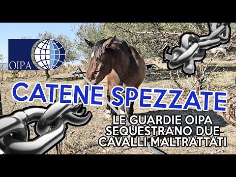 Come ridurre il dolore nelle articolazioni dellanca Brividi, dolore al collo e alla gola