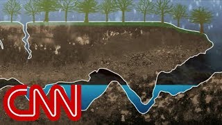 Virtual look at the caves trapping boys